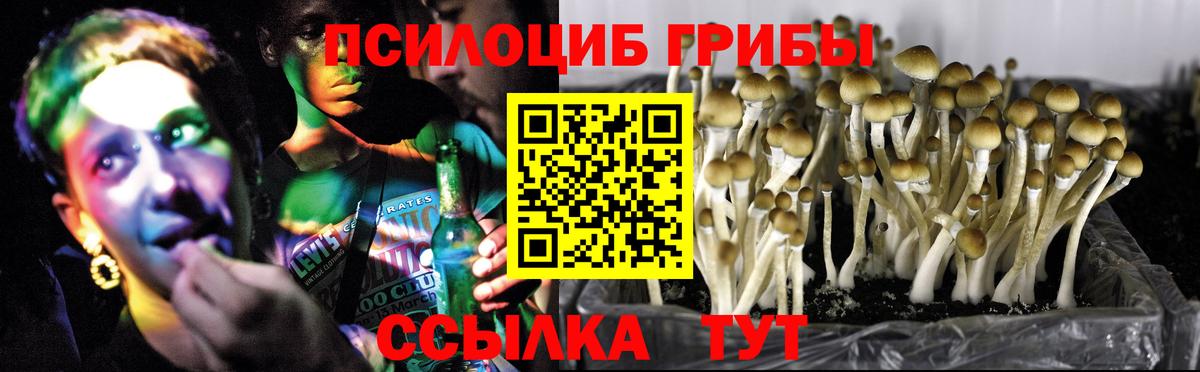 Апрелевка  Галлюциногенные грибы прущие грибы  даркнет сайт  Вход с VPN 